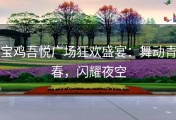 宝鸡吾悦广场狂欢盛宴：舞动青春，闪耀夜空