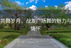 共舞岁月，战友广场舞的魅力与情怀