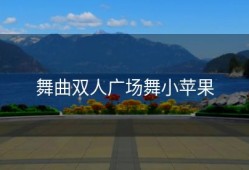 舞曲双人广场舞小苹果