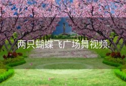 两只蝴蝶飞广场舞视频.