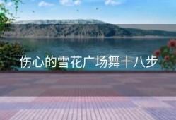 伤心的雪花广场舞十八步