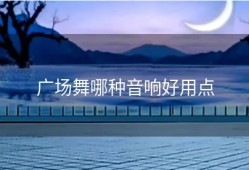 广场舞哪种音响好用点