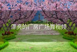 漂亮的厂房广场舞视频