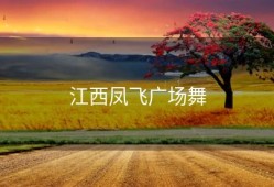 江西凤飞广场舞