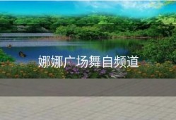 娜娜广场舞自频道