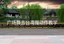 广场舞去台湾慢动作教学