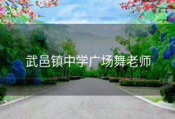 武邑镇中学广场舞老师