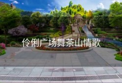 伶俐广场舞茶山情歌