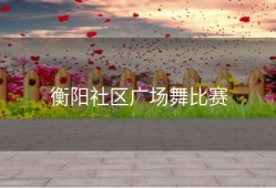衡阳社区广场舞比赛