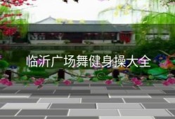 临沂广场舞健身操大全