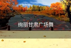 绚丽甘肃广场舞