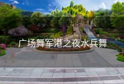广场舞军港之夜水兵舞