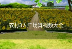 农村3人广场舞视频大全