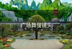 广场舞慢镜头