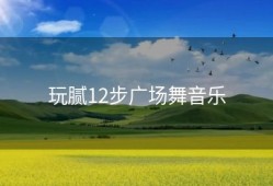 玩腻12步广场舞音乐