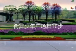街舞少年广场舞16步
