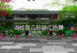dj给我几秒钟广场舞