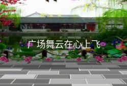 广场舞云在心上飞