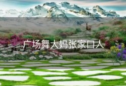 广场舞大妈张家口人
