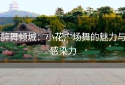 醉舞倾城：小花广场舞的魅力与感染力
