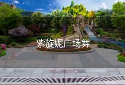 紫旋妮广场舞