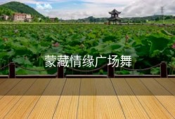 蒙藏情缘广场舞