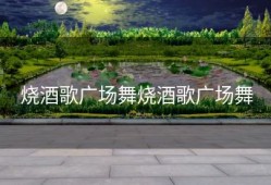 烧酒歌广场舞烧酒歌广场舞