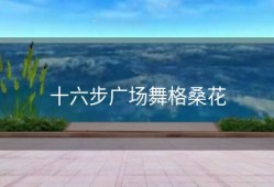 十六步广场舞格桑花