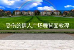 受伤的情人广场舞背面教程