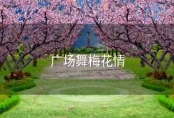 广场舞梅花情