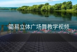 简易立体广场舞教学视频