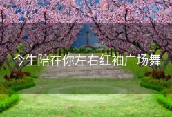 今生陪在你左右红袖广场舞