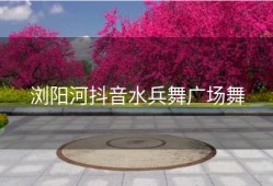 浏阳河抖音水兵舞广场舞