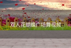 双人花蝴蝶广场舞视频