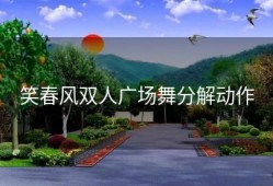 笑春风双人广场舞分解动作