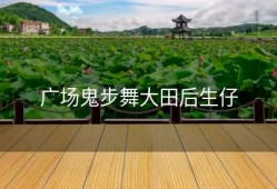 广场鬼步舞大田后生仔