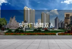东营广场舞双人