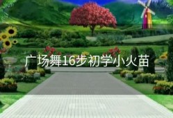广场舞16步初学小火苗