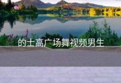 的士高广场舞视频男生