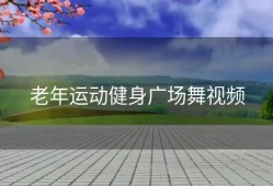 老年运动健身广场舞视频