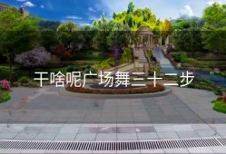 干啥呢广场舞三十二步