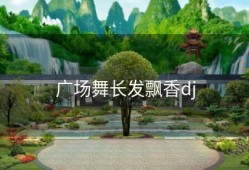 广场舞长发飘香dj