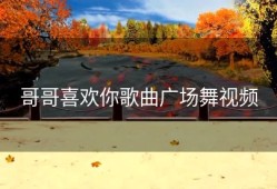 哥哥喜欢你歌曲广场舞视频