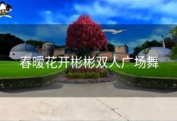 春暧花开彬彬双人广场舞
