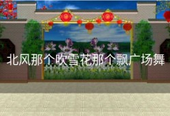 北风那个吹雪花那个飘广场舞