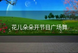 花儿朵朵开节目广场舞