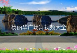 杨丽华广场舞视频大全