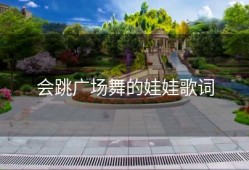 会跳广场舞的娃娃歌词