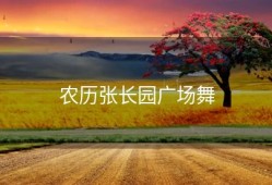 农历张长园广场舞