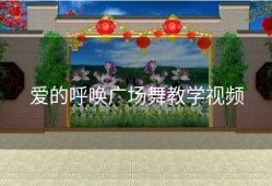 爱的呼唤广场舞教学视频